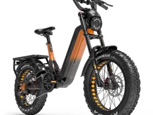 Lankeleisi RX800 Plus Version 2025 1000W Vélo Fat 20″ 960Wh